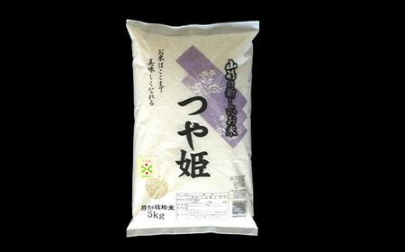 【令和8年産 新米 先行予約】 【金賞受賞農家】 《定期便12回》 特別栽培米 つや姫 計10kg(5kg×2袋)×12か月 《令和8年9月下旬～発送》 『あおきライスファーム』 [2415-R8]
