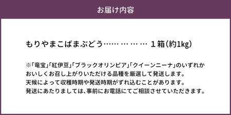 もりやまこばまぶどう1kg ２房　モリヤマブドウ もりやまぶどう 竜宝 紅伊豆 ブラックオリンピア クイーンニーナ フルーツ 糖度17度以上 とっても甘い 竜宝 紅伊豆 ブラックオリンピア クイーンニ