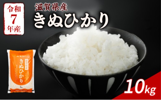 きぬひかり 10kg ( 5kg ×2) 令和7年産 米 精米 こめ コメ お米 ご飯 米 キヌヒカリ 10キロ 令和7年 滋賀 彦根 【近江米】