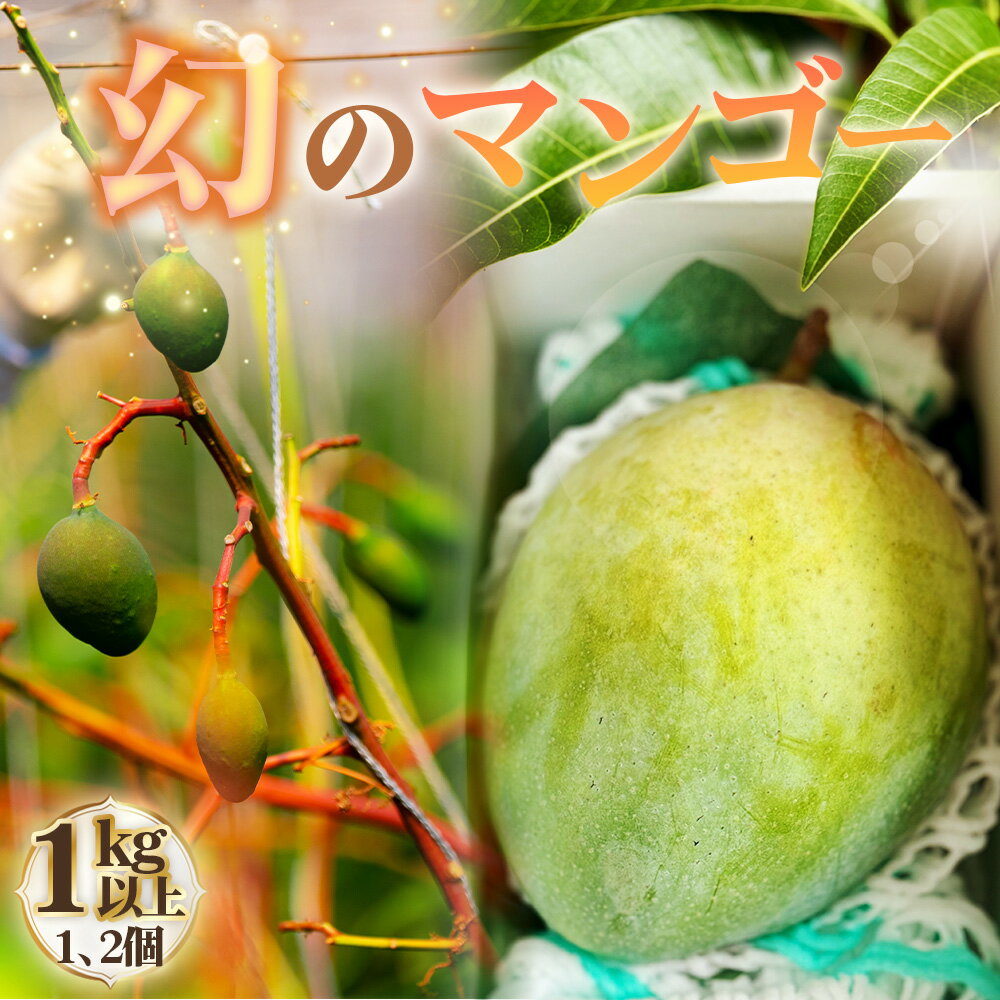 【ふるさと納税】幻のマンゴー　1kg以上 ／ マンゴー 大型 果物 フルーツ 糖度が高い 繊維質が少ない 濃厚 甘み 完熟 人気の高い品種 送料無料 愛知県 No.226