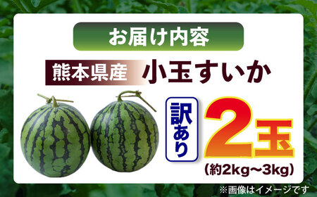 【先行予約】訳あり 小玉すいか 2玉 約2kg～3kg　【株式会社 Foody’s】[AYAT009]