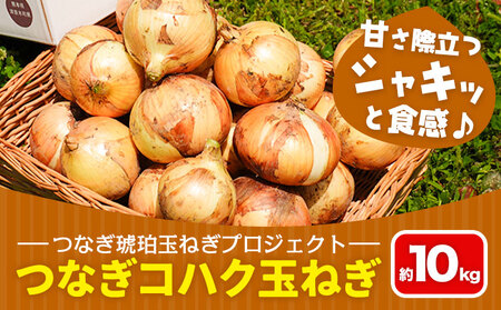 玉ねぎ コハク 10kg 玉ねぎ