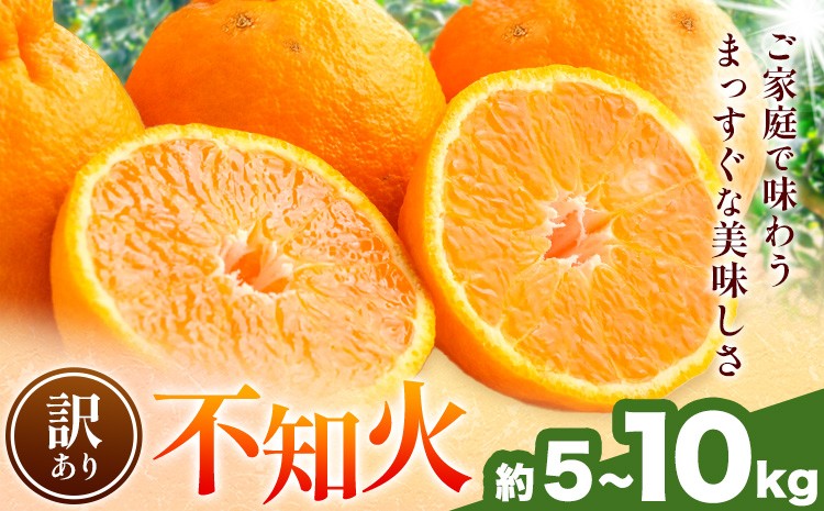 
                  不知火 訳あり 選べる 5kg 10kg 中畑農園《2027年1月下旬-2月末頃出荷》 和歌山県 日高川町 不知火 みかん ミカン 蜜柑 椪柑 フルーツ 果物 柑橘
                
