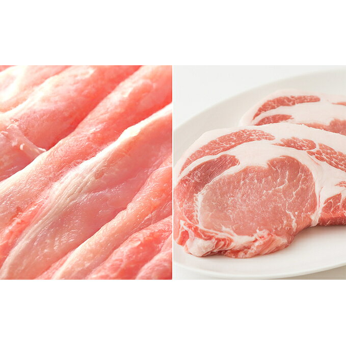 【ふるさと納税】豚肉 讃岐もち豚 セット ロース スライス 1000g テキカツ 100g × 10枚 香川県産 国産 讃岐 さぬき ぶた肉 お肉 もち豚 ポーク 豚ロース とんかつ ステーキ しゃぶしゃぶ 臭みが少ない 贈答 ギフト 協同ミートプロダクト 香川県 綾川町