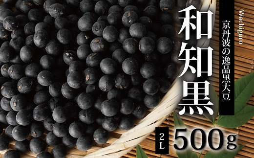 
京都丹波の黒豆「和知黒」　2Lサイズ　500g（生産地域限定　京都・京丹波町産　黒大豆）　[013NA002]
