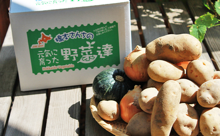 【2026年秋冬発送】富良野 野菜セット 約10kg 人参 かぼちゃ いも 玉ねぎ ごぼう ゆり根 米