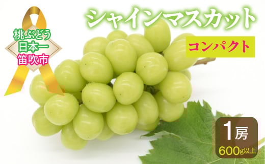 【2026年発送★先行予約】【コンパクト】笛吹市産シャインマスカット1房 600g以上  先行 予約 シャイン 葡萄 ぶどう 新鮮 人気 食べ切り くだもの 果物 フルーツ 山梨 笛吹市 笛吹 農家直送 産地直送 157-041