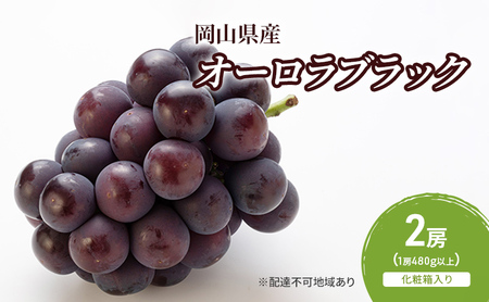 ぶどう 2026年 先行予約 オーロラブラック 2房(1房480g以上) 岡山県産 ぶどう