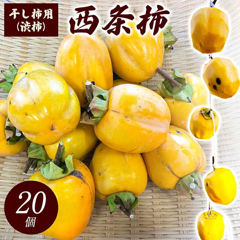 【ふるさと納税】 干し柿用 西条柿 渋柿 20個 作り方付き ドライフルーツ 果物 フルーツ 冬の味覚 和菓子 茶菓子 手作り 果物 スイーツ 数量限定 期間限定