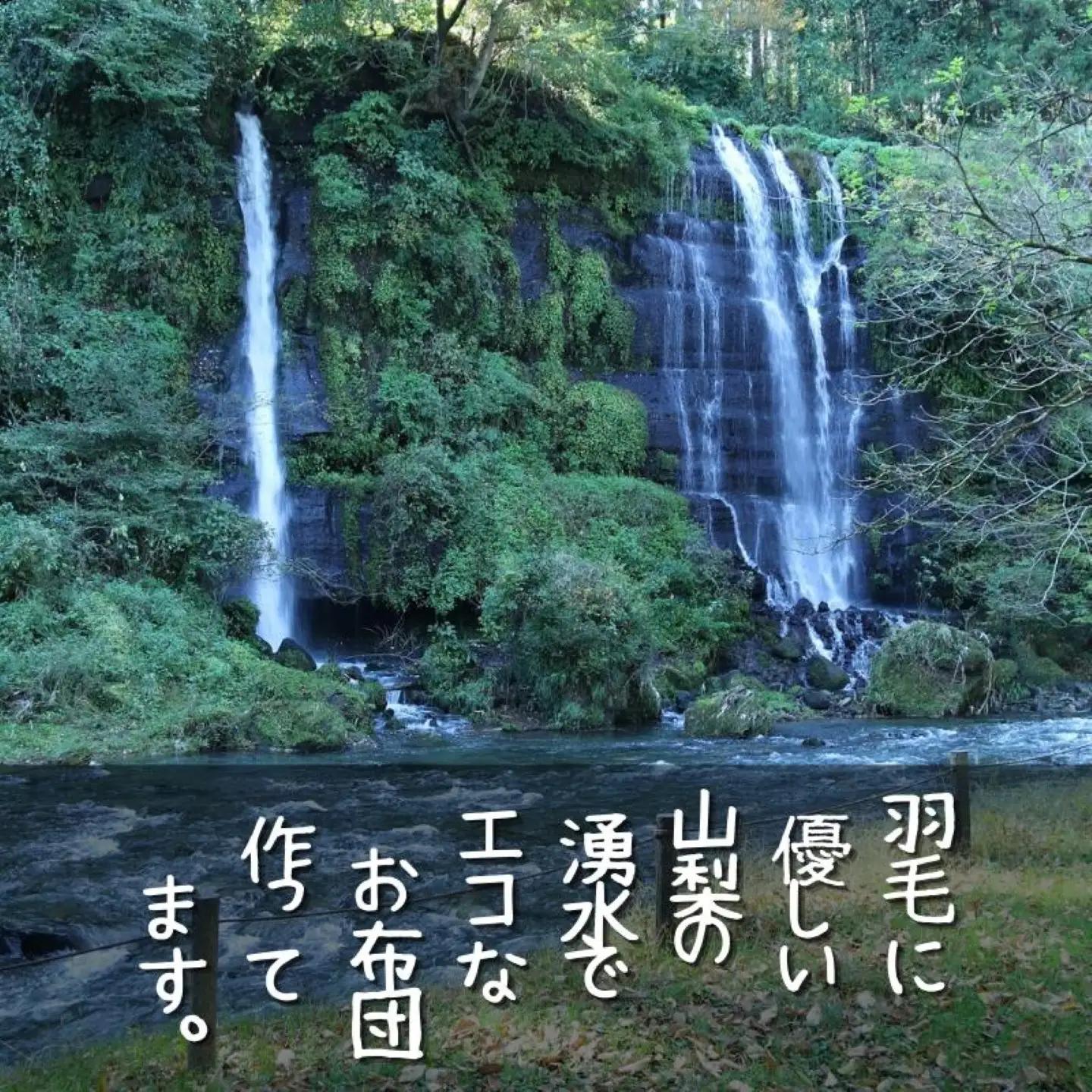 【合掛け】羽毛布団　ダウン70％　230×210cm（キング）リユース羽毛　国産