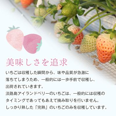 ふるさと納税 淡路市 淡路島アイランドベリー 白苺淡雪【2026年4月発送先行受付・お届け日指定不可】　as14825 |  | 02