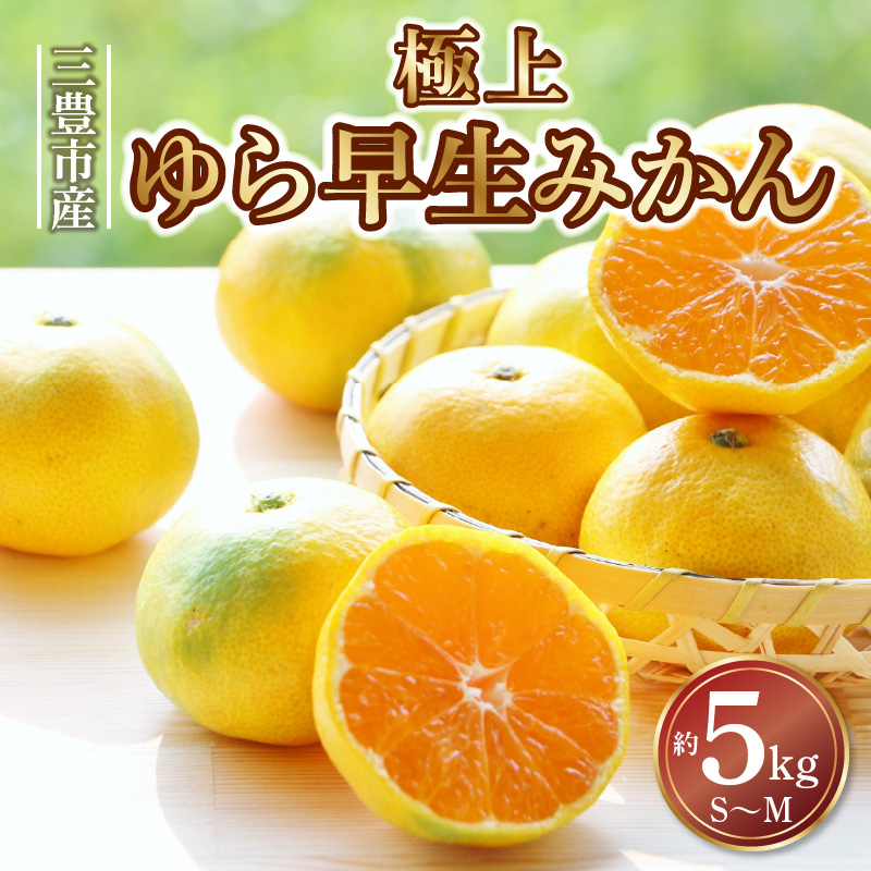 【ふるさと納税】【配送不可地域：北海道・沖縄県・離島】三豊市産　極上【ゆら早生みかん　約5ｋｇ】S〜Mサイズ  秋 旬