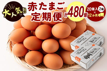 児湯養鶏自慢の卵 計480個（40個×12回） 12ヶ月定期便
