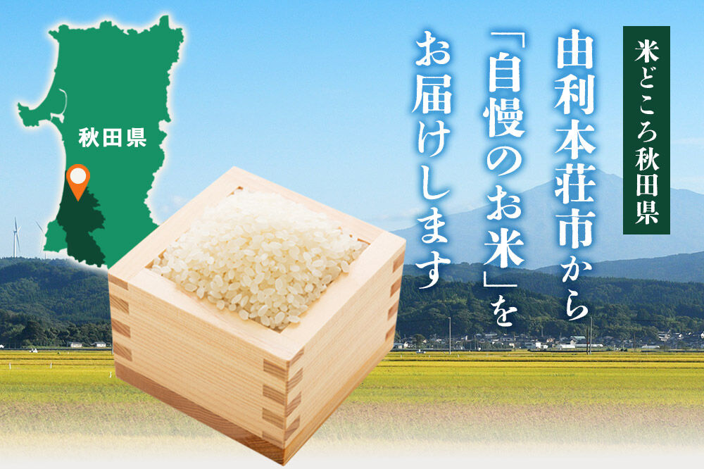 《令和8年産 新米受付》《定期便6ヶ月》【白米】ミルキークイーン 5kg 秋田県産 ひろっきい米 [新米 ミルキークイーン 米 白米 精米 お米 おこめ ブランド米 食卓 おにぎり 秋田県産 秋田県 