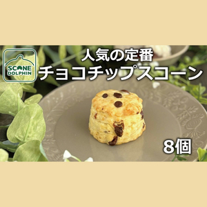 チョコチップスコーン 8個【人気 しっとり 冷凍 冷凍スコーン ミルクチョコレート チョコレート 本場 イギリス 焼き菓子 スイーツ 水戸市 水戸 茨城県 15000円以内】（AR-16）