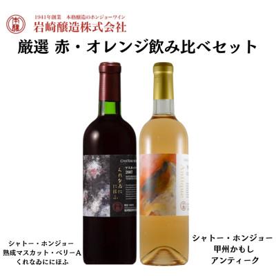 ふるさと納税 甲州市 ホンジョーワイン厳選 赤・オレンジ飲み比べセット