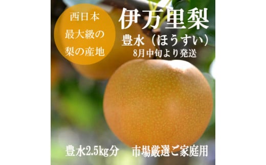 【 数量限定 】 伊万里 梨 豊水 2.5kg 令和6年産 B624
