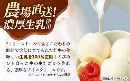 ハッピーさんのアイス（ミルク）6個入 アイスクリーム カップ スイーツ セット農場直送 岩手県 岩手町