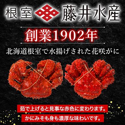 ふるさと納税 根室市 【北海道根室産】ボイル花咲がに2〜3尾(約1kg) A-42084 |  | 01