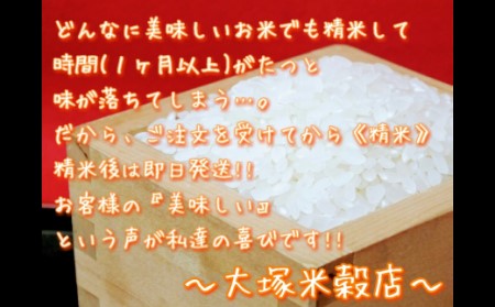 《マイスターセレクト》さがびより【白米】5kg【特A評価】 B563