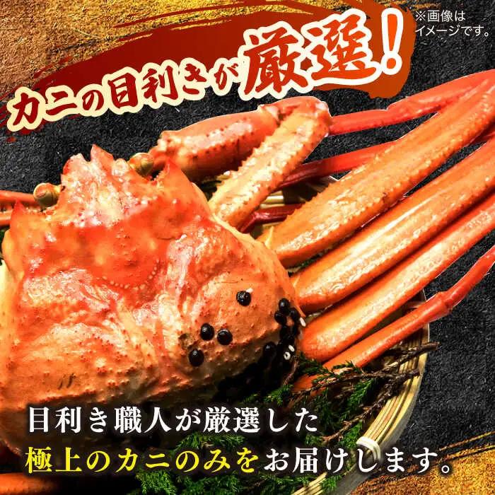 紅ずわいがに 姿 4枚 [ALDN001] ベニズワイガニ 蟹