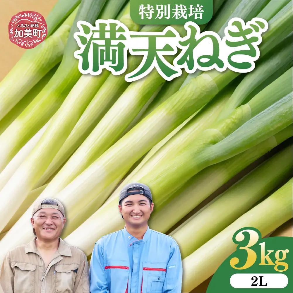 【先行予約】長ネギ 3kg 長ネギ