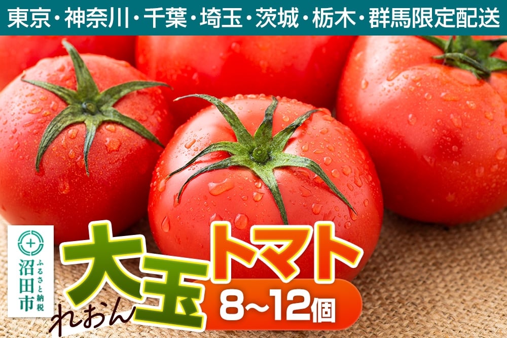 
            《関東発送限定》沼田市産 大玉トマト「れおん」8～12個 詰め合わせ
          