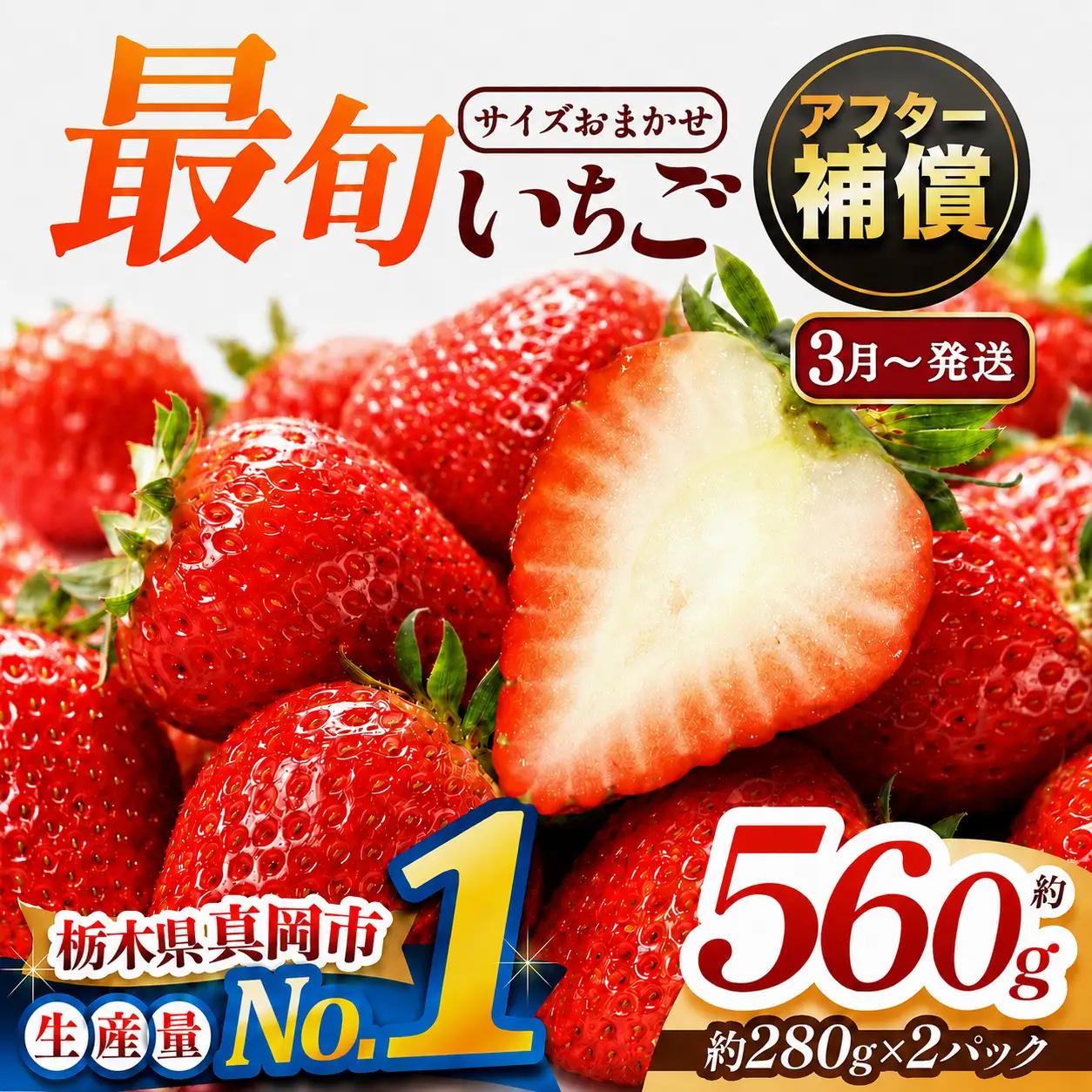 【先行予約受付中】【2027年3月発送】大人気！ 最旬とちあいか 約560g 2パック いちご