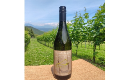 Bozza di Sauvigunon(ソーヴィニヨン・ブラン:白ワイン)750ml×1本【1776537】