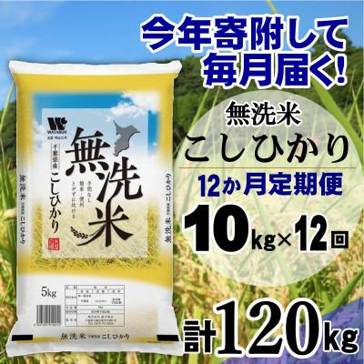 ふるさと納税 大網白里市 【毎月定期便】コシヒカリ 無洗米 10kg(5kg×2袋)全12回