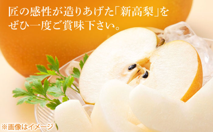 【先行予約】 まるはり新高梨（約800g×3玉入） 〈2025年9月下旬から発送開始〉 / 新高梨 梨 果物 フルーツ デザート 　【高知市農業協同組合】 [ATBK002]