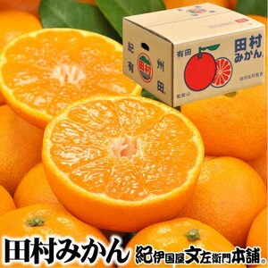 田村みかん 秀品 約5kg【大玉サイズ】約20～30果/和歌山県湯浅町田村地区産/産地直送【1341587】