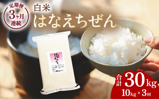はなえちぜん 白米 5kg×2袋×3回 3ヶ月連続 定期便 30kg 真空パック ハナエチゼン 米 簡易梱包 エコ梱包