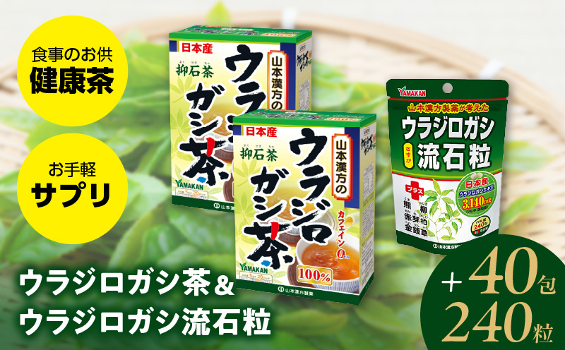 ウラジロガシ茶 20包×2箱＆ウラジロガシ 流石粒 240粒 山本漢方 ティーバッグ