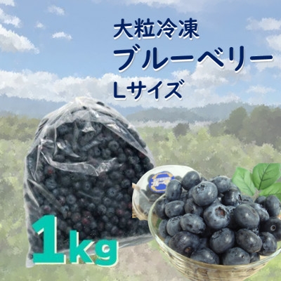 
                  遠野で育った 大粒 冷凍 ブルーベリー Lサイズ 1kg【1333274】
                