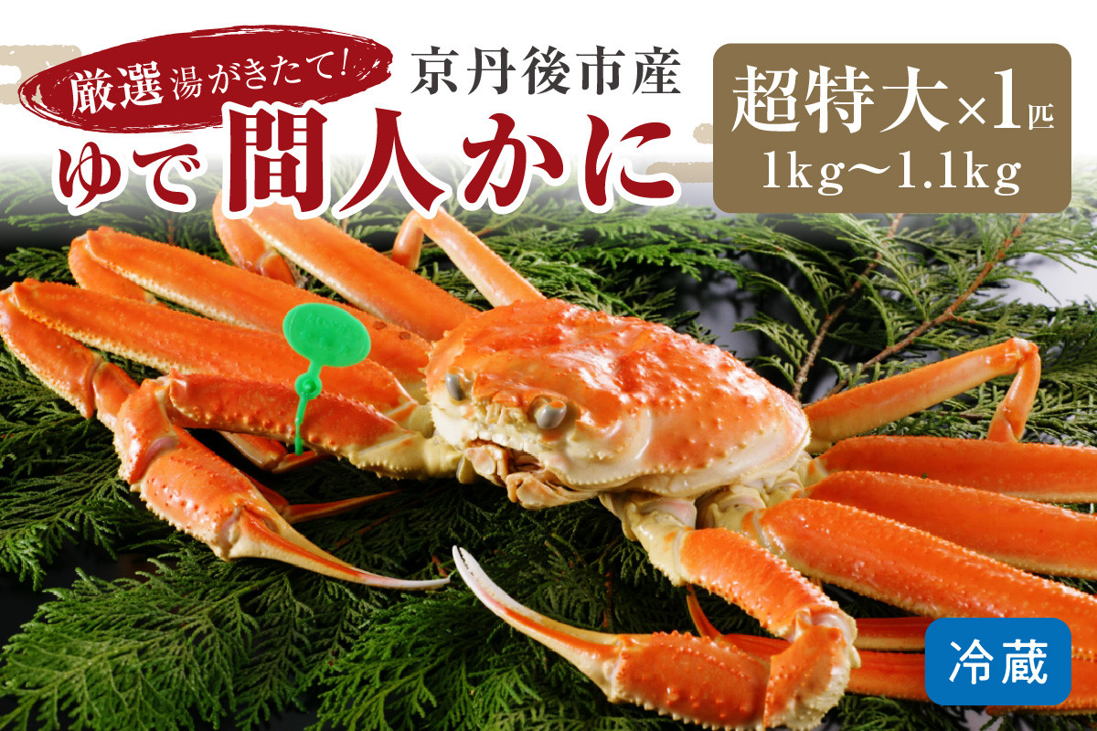 
            【12月発送】厳選湯がきたて！京丹後市産ゆで間人かに　1kg～1.1kg超特大サイズ/北畿水産 松葉ガニ 松葉蟹 松葉がに 松葉かに ズワイガニ ボイル カニ 姿 ゆでかに　HK00168
          