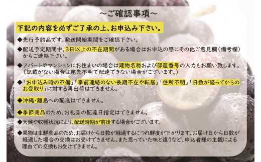 ＜みよばあちゃんのぶどう畑直送！＞ 先行予約 8月中旬～9月上旬順次発送【露地栽培の巨峰 約1kg(3～4房)】 [M27-3] 葡萄 ブドウ 果物 くだもの マスカット フルーツ 新鮮 九州 福岡 宮若