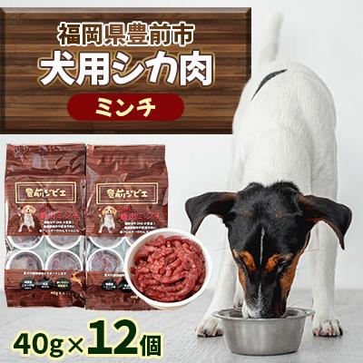 ふるさと納税 豊前市 福岡県豊前市　犬用シカ肉【ミンチ】40g×12個