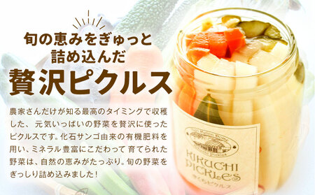 ピクルス 大瓶 3本セット 【メロンドーム】 約260g×3本 ピクルス 野菜 酢漬け 漬物 おつまみ 旬の野菜 《30日以内に出荷予定(土日祝除く)》