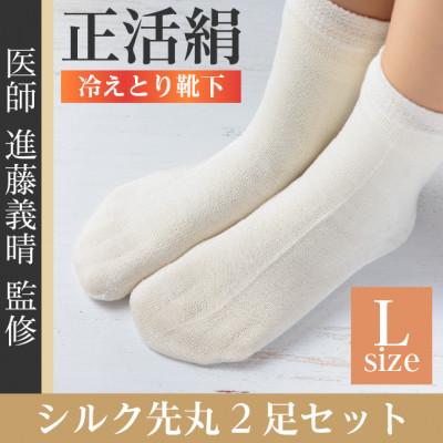 ふるさと納税 羽島市 正活絹 冷えとり靴下 シルク先丸 2足セット(Lサイズ)