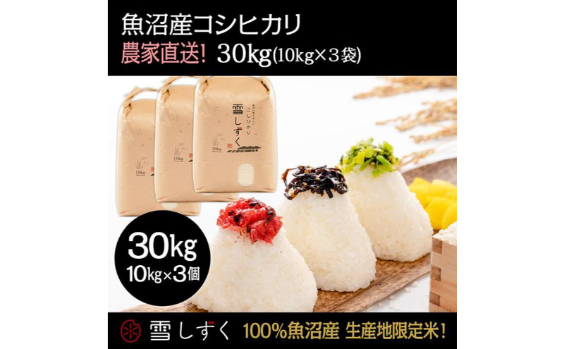 令和7年産！魚沼産コシヒカリ【農家直送!】 10kg×3袋 お米 米 コメ 