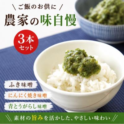 ふるさと納税 小川村 小川の庄　農家の味自慢3本詰合せ*231