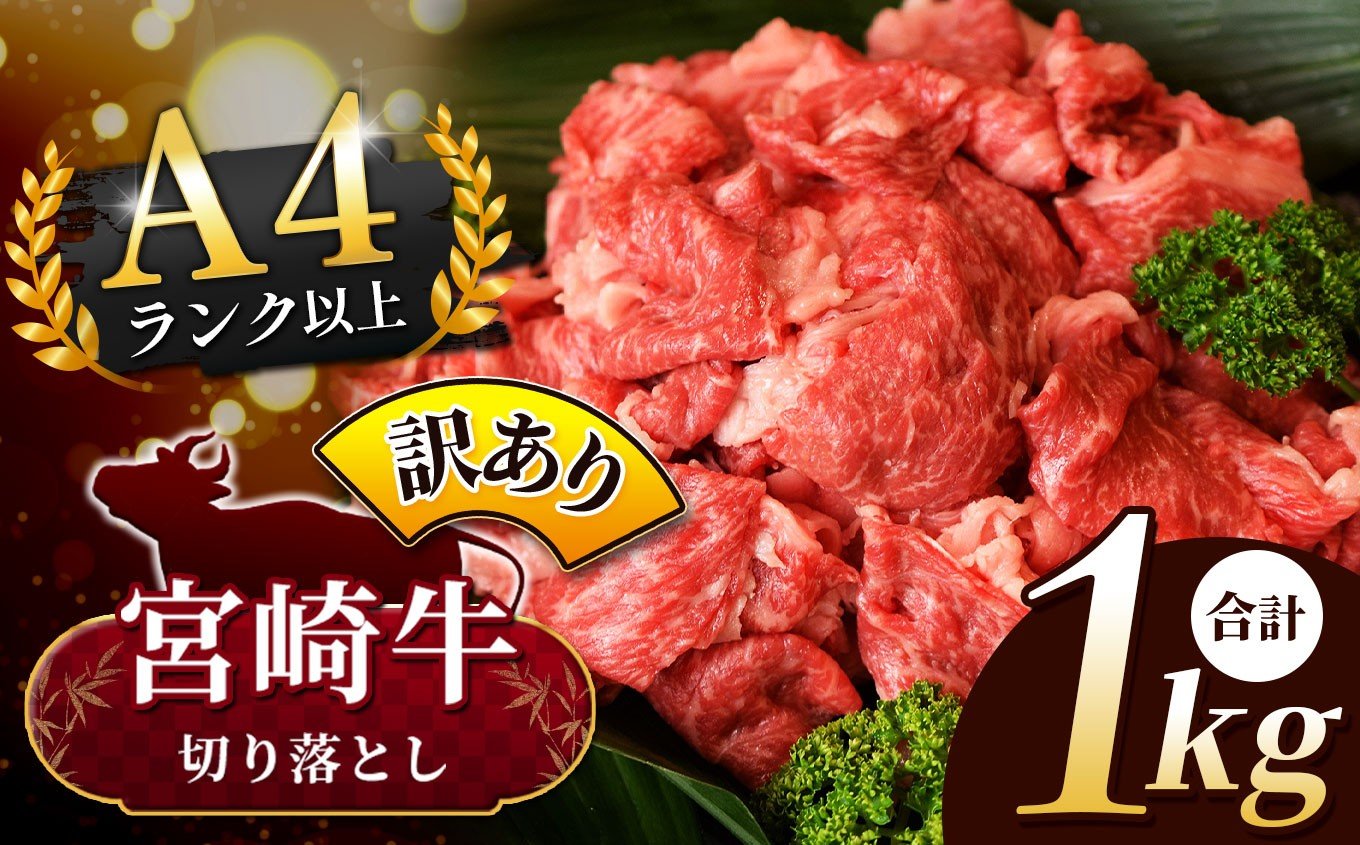 
            人気 牛肉  ! A4 - A5 宮崎牛 切り落とし 訳あり 1kg | 小分け 500g × 2 宮崎牛 切り落とし 部位不問 脂身 黒毛和牛 牛肉 肉 にく お肉 スライス 切り落とし 国産 ブランド牛 カレー 牛丼  野菜炒め  宮崎県 五ヶ瀬町 
          