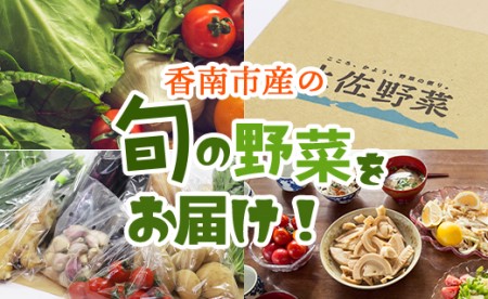 定期便12回コース 高知県香南市産 旬のお野菜詰合せ(10～13品目) - やさい おまかせ セット 土佐野菜 新鮮 高知県 香南市 Wpr-0010