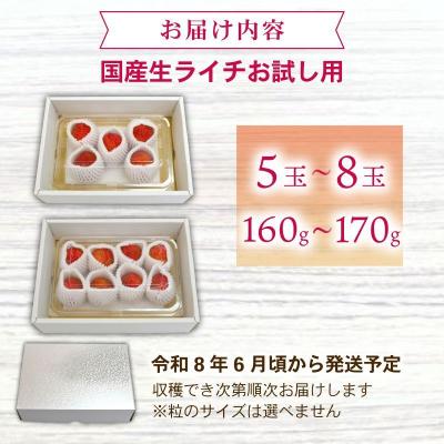 ふるさと納税 室戸市 【先行受付!令和8年6月上旬頃より発送】お試しパック 生ライチ 国産 ライチ 果物 |  | 01