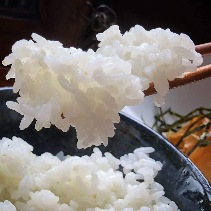 【定期便】京都・神前米キヌヒカリ5kg×3回☆減農薬・自家栽培米生産農家直送