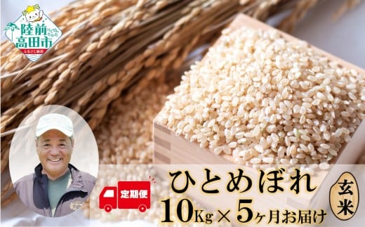 先行予約【5ヶ月定期便】 令和7年度産 新米 ひとめぼれ 玄米 50kg (10kg×5ヶ月定期便) 海の見える農園で作った玄米 【 米 お米 おにぎり おむすび お弁当 数量限定 産地直送 岩手県 陸前高田市 大和農園 】 RT3016-R7
