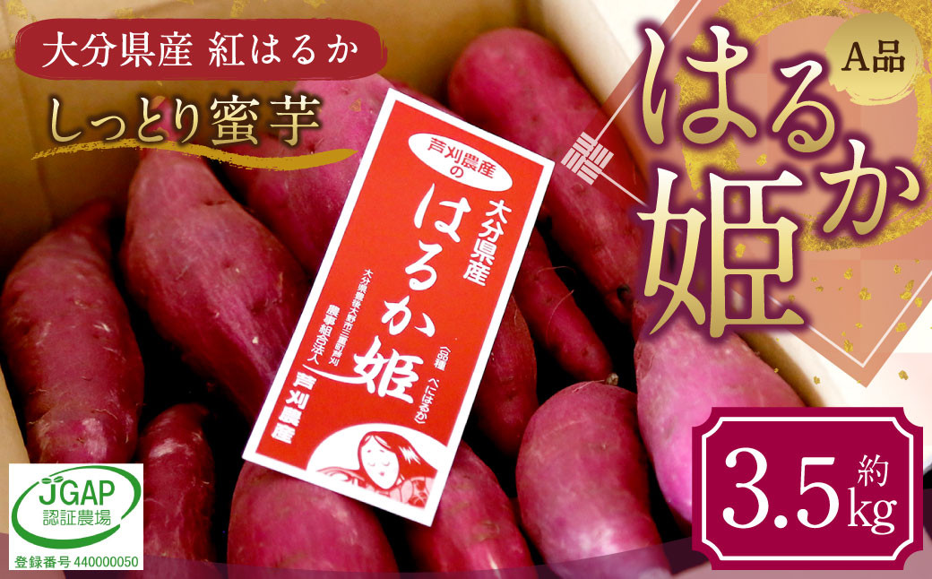 
            はるか姫 約3.5kg（A品） さつまいも いも イモ 芋 紅はるか べにはるか 国産 常温 大分県 豊後大野市 【2025年11月下旬～2026年5月下旬発送予定】
          
