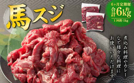 【6ヶ月定期便】 馬スジ 1kg （500g×2パック） 計6kg 馬肉 馬 お肉 肉 おかず 冷凍