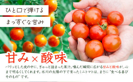 ミニトマト 約2kg 氷川アグリクラブ トマト 熊本《2月上旬-4月末頃出荷》熊本県 氷川町 野菜 熊本県産 サラダ プチトマト 国産
